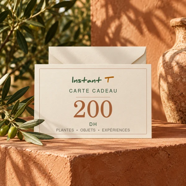 Carte cadeau Instant T